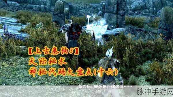 上古卷轴 5 手游，神秘代码与海量技能解析