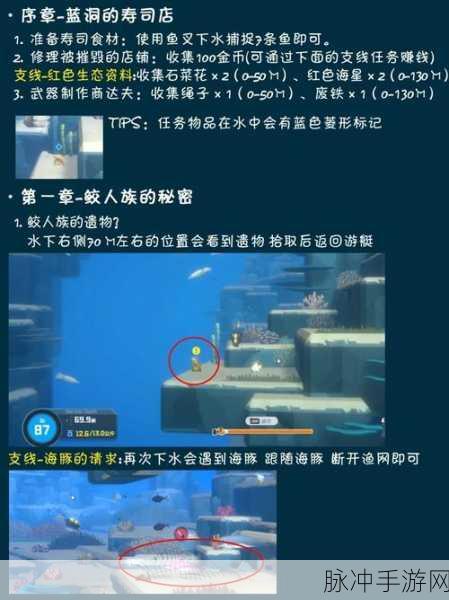 潜水员戴夫，接待女明星的详尽攻略指南