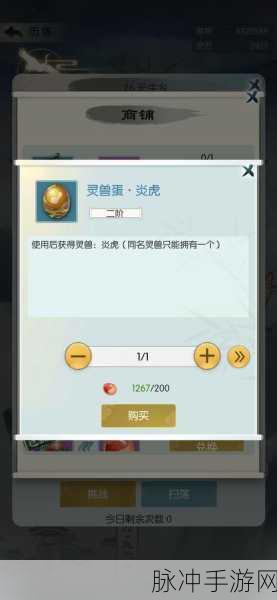 无极仙途第六届攻略大赛，神级以上装备点化秘籍