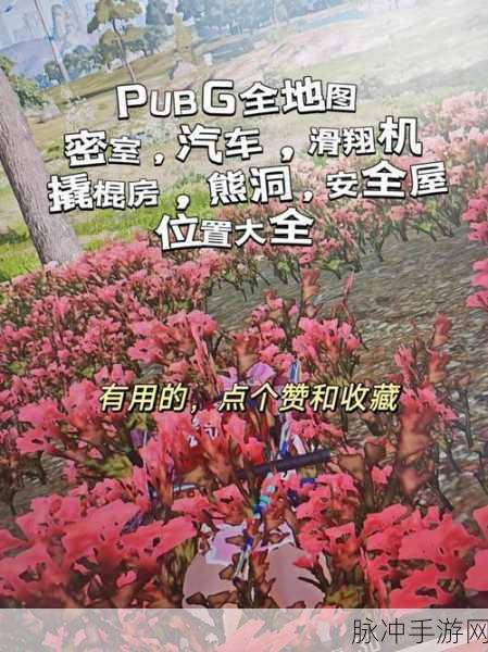 绝地求生刺激战场，摩天轮位置全解析
