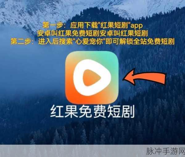 红果短剧浏览历史轻松删，畅玩无痕迹指南