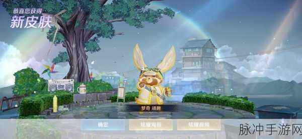 王者荣耀，梦琪肉装秘籍大揭秘