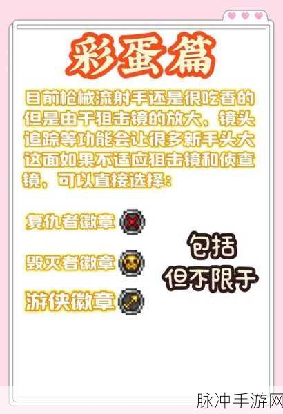 泰拉瑞亚肉前魔法导弹使用指南与技巧