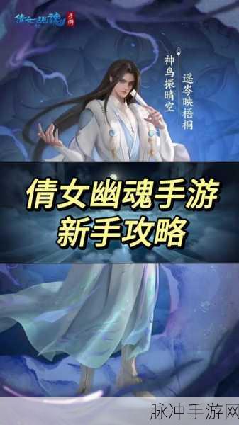 倩女幽魂手游入门秘籍，助你畅游三界
