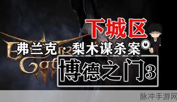 博德之门 3 弗兰克梨木任务全攻略指南