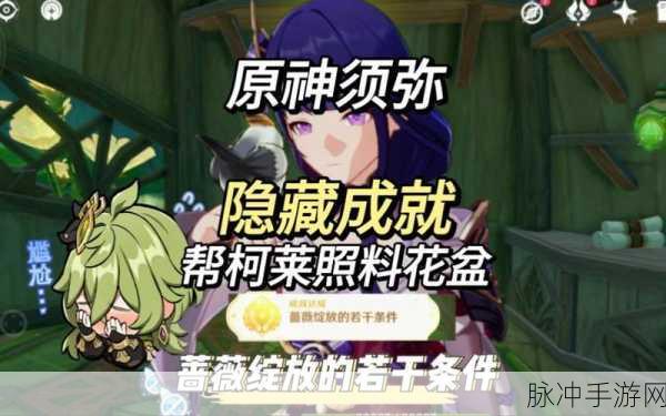 原神须弥成就全解与蔷薇绽放攻略秘籍
