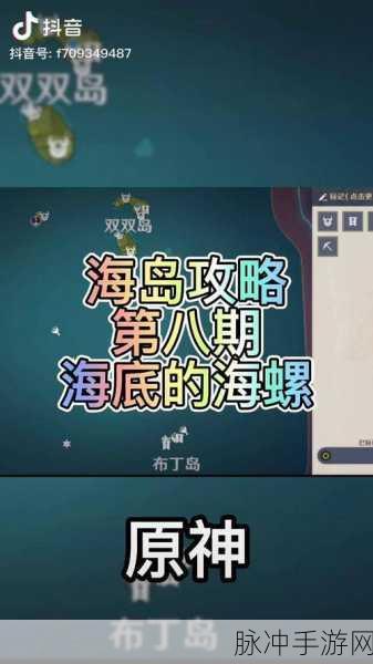 原神盛夏海岛大冒险全时段解析