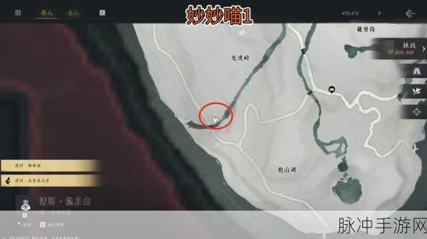 燕云十六声猫猫花旋风位置全解析