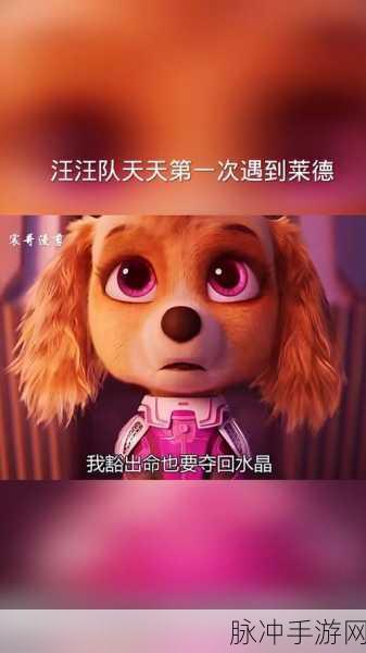 梦幻花园花园公益季 汪汪队守护行动大揭秘