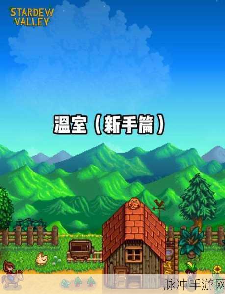 星露谷物语温室赚钱秘籍大公开