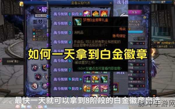 DNF 手游白金徽章获取秘籍大公开