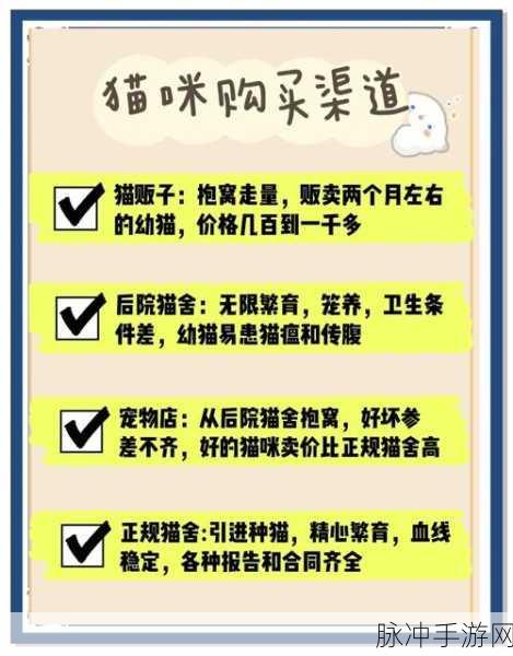 布偶动物的餐厅，控量刷预算秘籍大揭秘