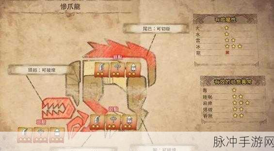 怪物猎人世界老手常用俗语全解析