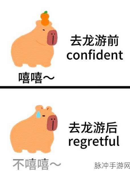 纸不语上线时间大揭秘及深度攻略