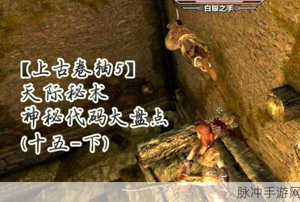 上古卷轴 5 手游，神秘代码背后的物品消失谜团