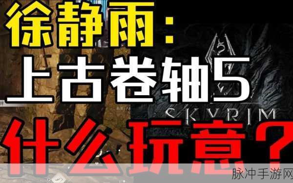 上古卷轴 5 手游，神秘代码背后的物品消失谜团