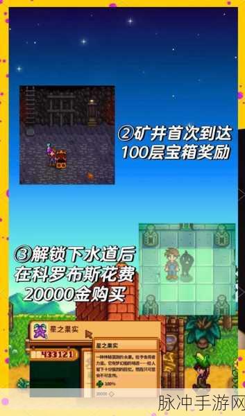 星露谷物语全星之果实获取秘籍大公开