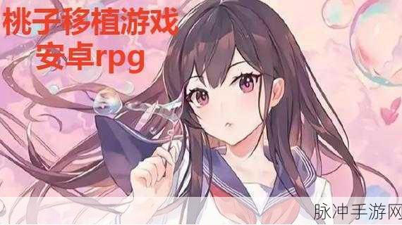 JSK 纸巾盒桃子移植游戏，深度探秘玩家的致胜秘籍