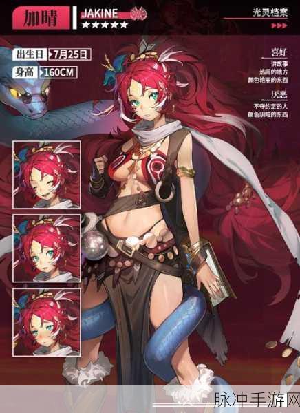 白夜极光哈提全方位性能与技能解析