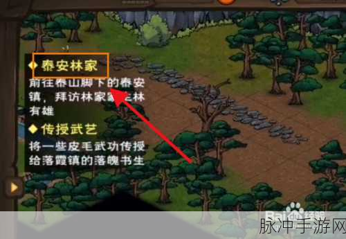 烟雨江湖，探寻锦帕背后的神秘秘语