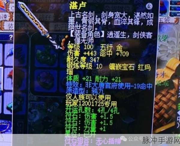 梦幻西游手游 100 级装备湛卢全方位解析