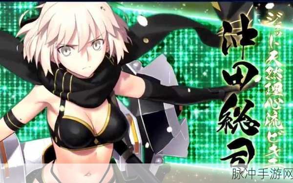 FGO 泳装活动山地岚级详尽攻略指南