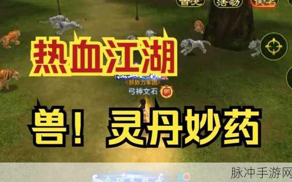 热血江湖手游兽灵丹全方位性价比解析