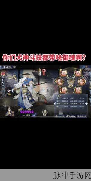 阴阳师犬神御魂搭配全攻略，助你称霸平安京