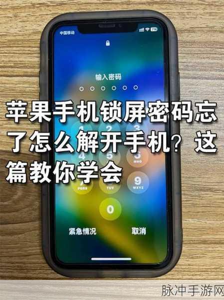 苹果手机丢失与 ID 密码遗忘？追踪攻略大揭秘