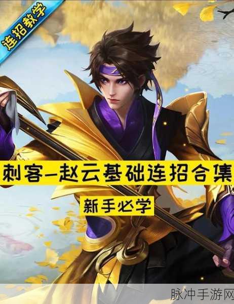 王者荣耀赵云攻略，深度剖析其实力与技巧