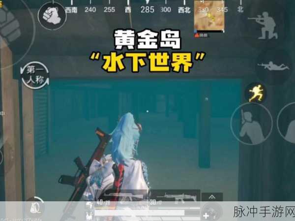 和平精英黄金岛致胜秘籍，三种获胜法门大揭秘