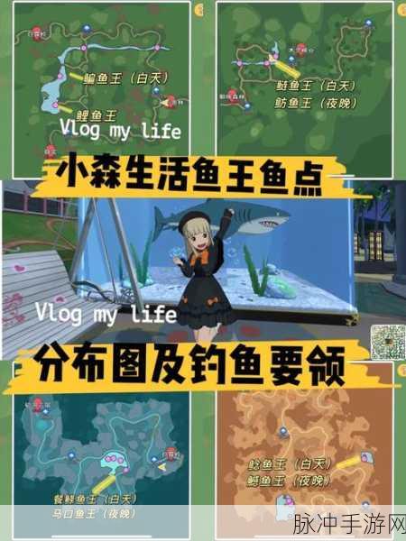小森生活小鱼干制作与购买全攻略