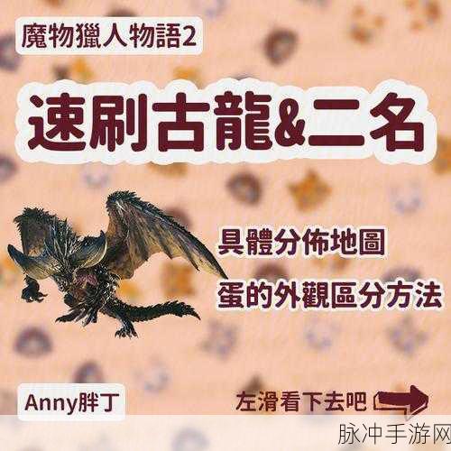 怪物猎人物语 2共斗与合作任务地点全解析