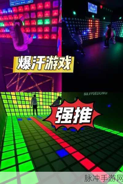 踩球竞技场游戏下载，解锁竞技休闲新体验