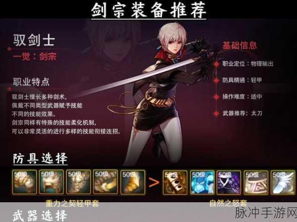 DNF手游剑宗巨剑流，深度玩法攻略与技巧全面解析大全