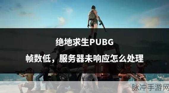 绝地求生中大逃杀的可视距离，策略与生存的双重考量