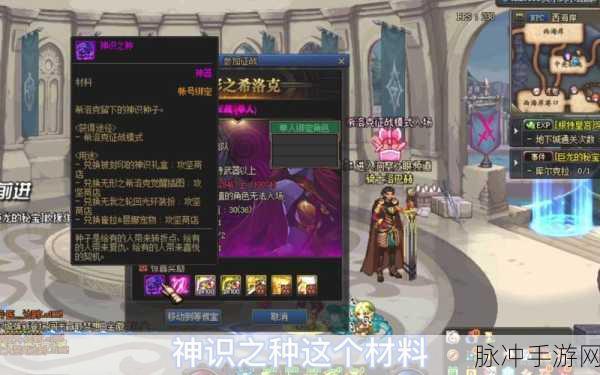 DNF终末引导深度攻略，揭秘希洛克全图探索与高效获取策略