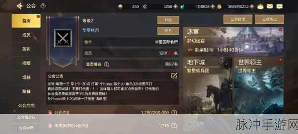DNF手游公会地下城全面攻略，如何高效进入与挑战
