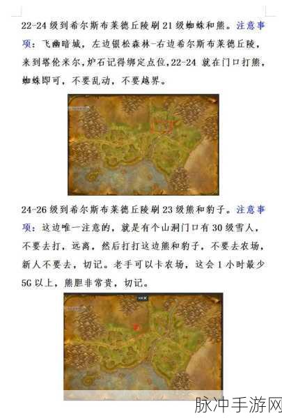 魔兽世界怀旧服猎人之道任务流程全攻略