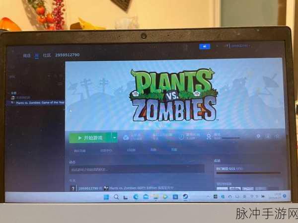 手机版Steam语言更改全攻略，轻松玩转国际游戏平台