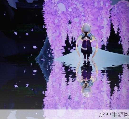 光遇世界奇遇，揭秘紫色披风旅人的神秘装扮与获取之道