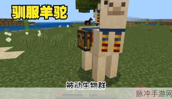 我的世界手游羊驼繁殖全攻略