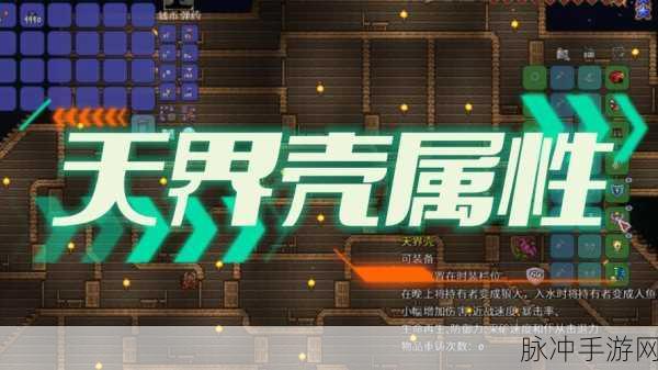泰拉瑞亚天界壳获取方法全攻略——揭秘天界壳的获得途径