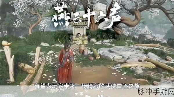 天涯刀剑客下载指南，深入武侠RPG动作游戏的奇幻之旅