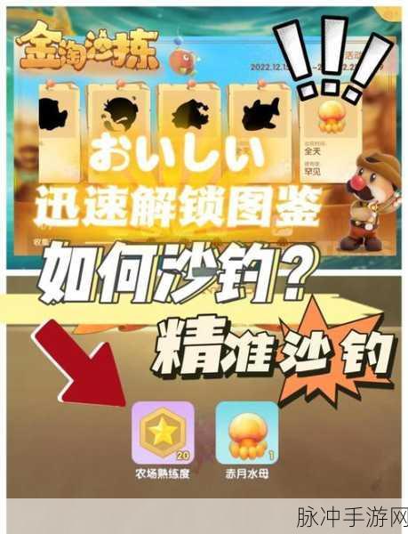 摩尔庄园手游许愿龟垂钓指南，刷新地点与垂钓技巧详解