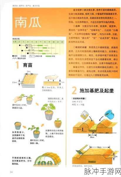 掌握种植技巧，我的世界中西瓜的高效种植指南
