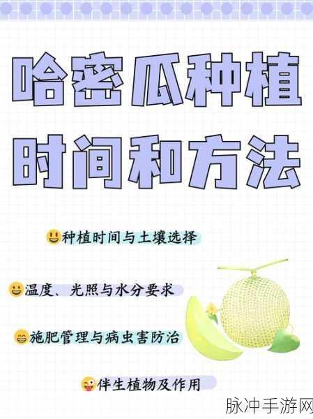 掌握种植技巧，我的世界中西瓜的高效种植指南