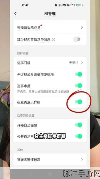 抖音粉丝群发布视频教程，深度解析抖音群内视频分享策略