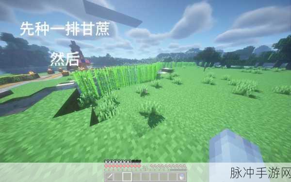 我的世界手游深度攻略，揭秘血族祭坛搭建方法与图解
