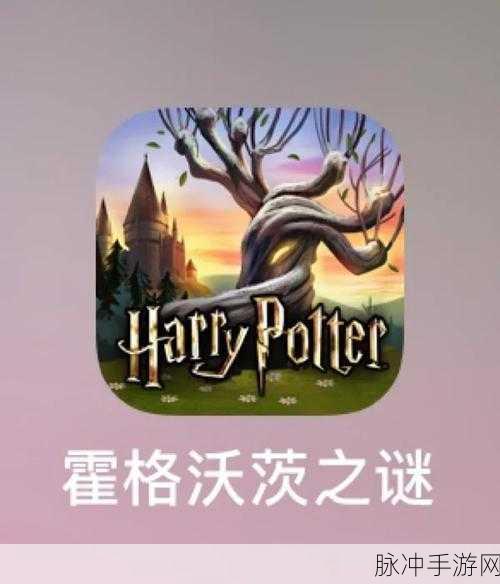 哈利波特之魔法之谜，解决主界面无响应问题全攻略